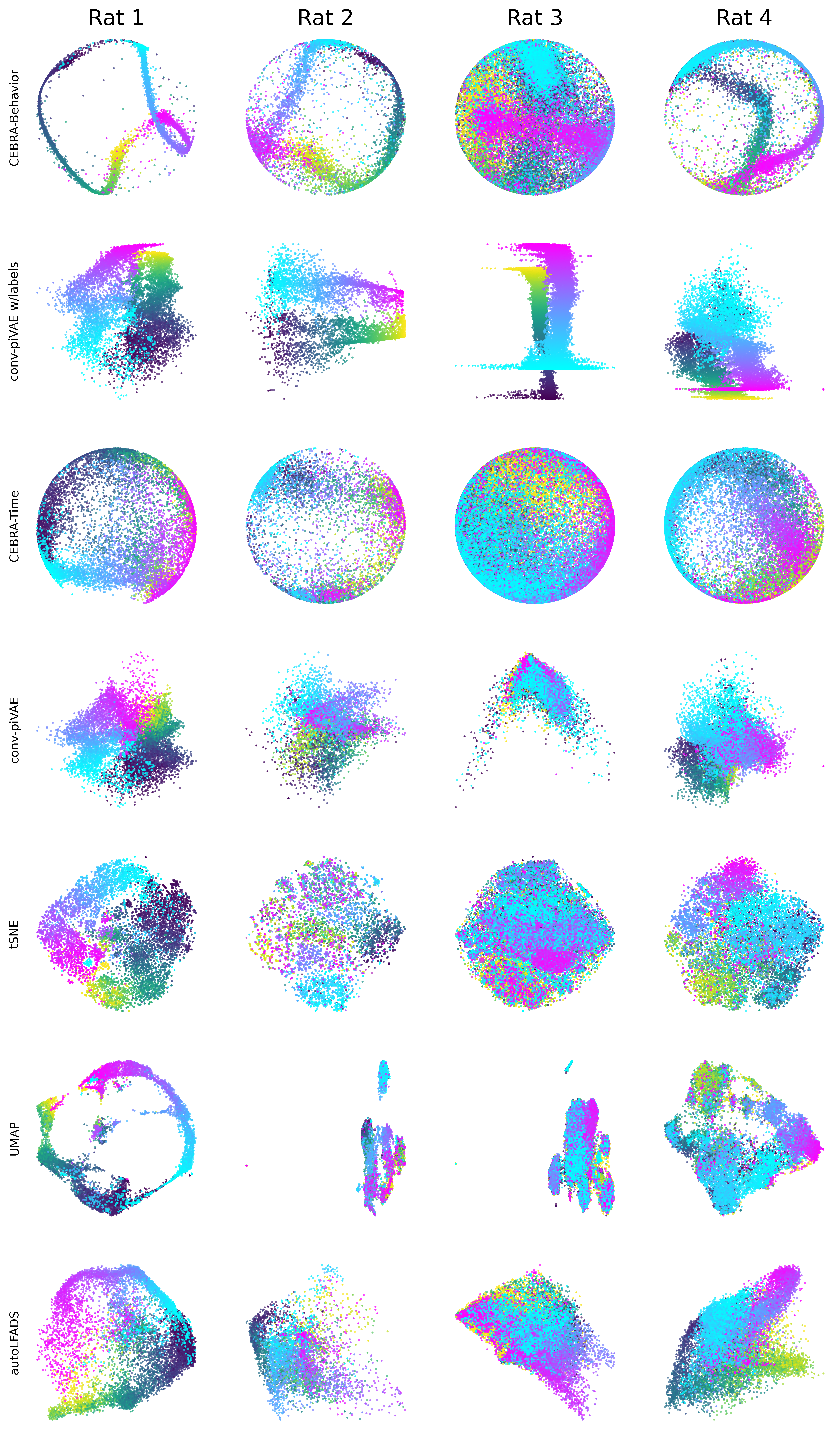 ../../_images/cebra-figures_figures_ExtendedDataFigure3_2_0.png