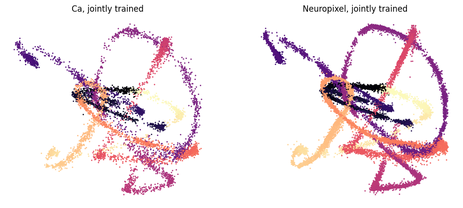 ../_images/demo_notebooks_Demo_Allen_24_1.png
